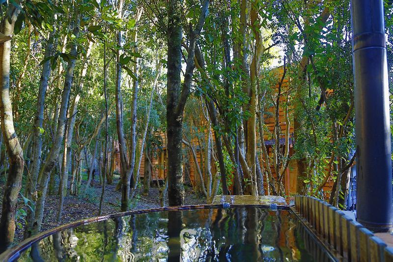 Cabanas Ensenada Bosque Nativo Hotel Puerto Varas Kültér fotó