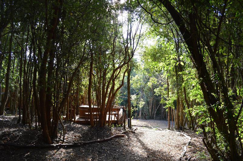 Cabanas Ensenada Bosque Nativo Hotel Puerto Varas Kültér fotó