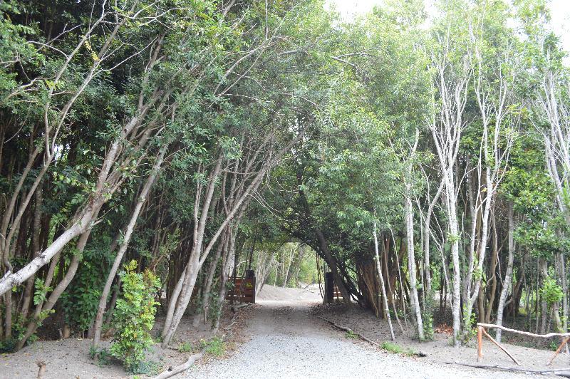 Cabanas Ensenada Bosque Nativo Hotel Puerto Varas Kültér fotó